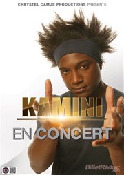 Kamini La Coupole Affiche