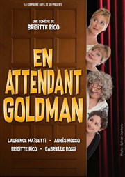 En attendant Goldman Thtre des Oiseaux Affiche