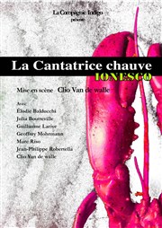 la cantatrice chauve Akton Thtre Affiche