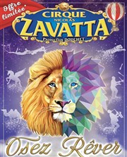 Cirque Nicolas Zavatta Douchet | Chartres Chartrexpo Affiche