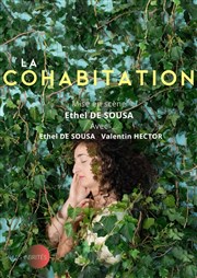 La Cohabitation Thtre Pixel Affiche