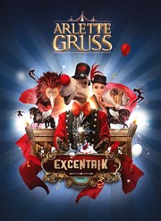 Cirque Arlette Gruss : ExcentriK | Reims Chapiteau Arlette Gruss - Diner Spectacle  Reims Affiche