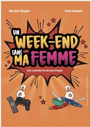 Un week-end sans ma femme We welcome Affiche