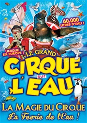 Le Cirque sur l'Eau | - Villefranche sur Saône Chapiteau Le Cirque sur l'Eau  Villefranche sur Sane Affiche