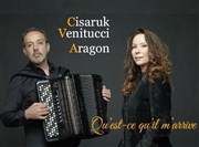 Annick Cisaruk et David Venitucci : Qu'est-ce qu'il m'arrive ? Le Conntable Affiche