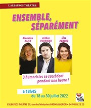 Ensemble, séparément Albatros Thtre - Ct Jardin Affiche