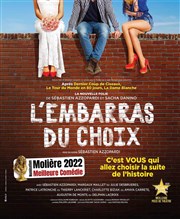 L'embarras du choix Sud Est Thtre Affiche