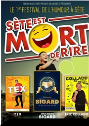 Sète est mort de rire Thatre de la mer Affiche