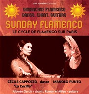 Sunday Flamenco Pniche Antipode Affiche