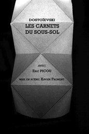 Les Carnets du sous-sol Thtre de Nesle - grande salle Affiche