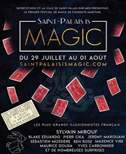 Sylvain Mirouf Chapiteau du Salon des Mystres Affiche