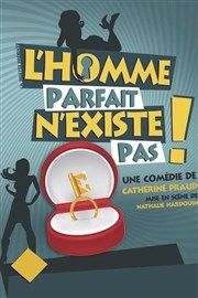 L'homme parfait n'existe pas ! Thtre  l'Ouest Auray Affiche