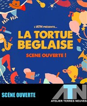 La Tortue Béglaise L'ATN Affiche