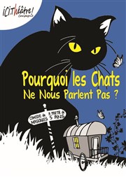 Pourquoi les chats ne nous parlent pas ? Pniche-Thtre La Baleine Blanche Affiche