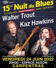 Nuit du Blues de Carpentras Espace Auzon Affiche