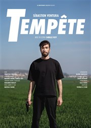 Tempête Bouffon Thtre Affiche