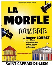 La morfle Caf Thtre Ct Rocher Affiche