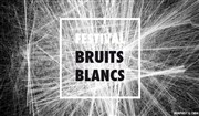 Bruits Blancs Anis Gras Affiche