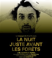 La nuit juste avant les forêts Thtre Berthelot Affiche