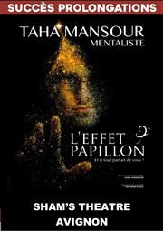 Taha Mansour dans L'Effet Papillon Shams Thtre Affiche