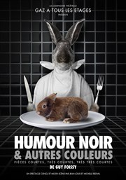 Humour noir et autres couleurs | Pièces courtes, très courtes, très très courtes Thtre du Petit Parmentier Affiche