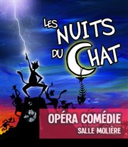 Les nuits du chat Opra Comdie - Salle Molire Affiche