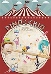 Pinocchio Thtre de la Cit Affiche