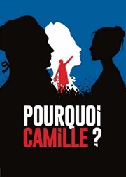 Pourquoi Camille ? Comdie Nation Affiche