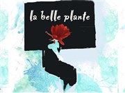 La bElle plAnte Thtre du Gai Savoir Affiche