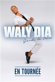 Waly Dia dans Waly Dia garde la pêche ! La Comdie de Toulouse Affiche