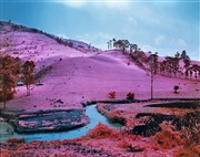 Richard Mosse : Infra Centre Culturel Irlandais Affiche