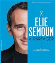 Elie Semoun dans A Partager Thtre Fmina Affiche