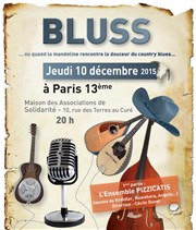 Ensemble Pizzicatis Guitares & Mandolines | En 2ème partie Bluss Maison des associations de solidarit Affiche