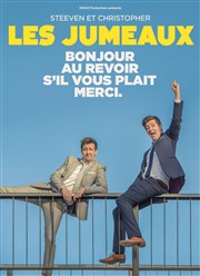 Les Jumeaux dans Bonjour, au revoir, s'il vous plaît, merci Thtre des 2 Anes Affiche