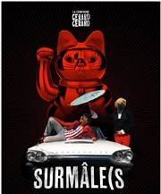 SurMâle(S Le Nouveau Ring Affiche