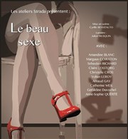 Le beau sexe Tho Thtre - Salle Plomberie Affiche