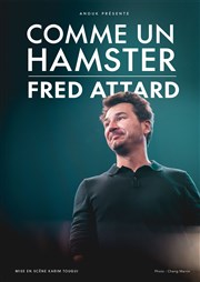 Fred Attard dans Comme un hamster Thtre BO Saint Martin Affiche