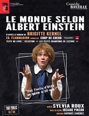 Le monde selon Albert Einstein Comdie Bastille Affiche