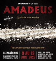 Amadeus, le destin d'un prodige Le millenaire Affiche