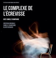 Le Complexe de l'Écrevisse La Loge Affiche