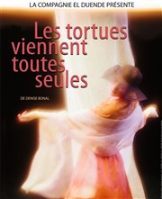 Les tortues viennent toutes seules Thtre El Duende Affiche