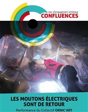 Les Moutons Electriques sont de retour Confluences Affiche