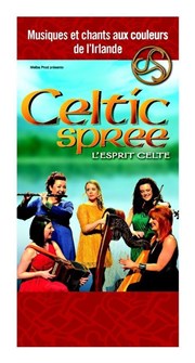 Celtic spree, l'esprit celte Cathdrale Notre-Dame de Boulogne sur Mer Affiche