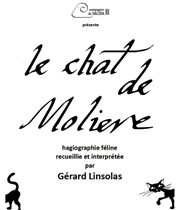 Le chat de Molière Thtre de la Carreterie Affiche