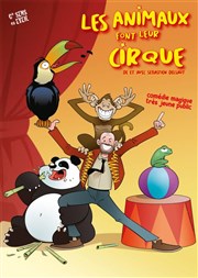 Les animaux font leur cirque Thtre de la Cit Affiche