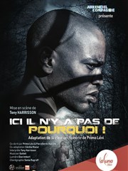 Ici il n'y a pas de pourquoi ! Thtre La Luna Affiche