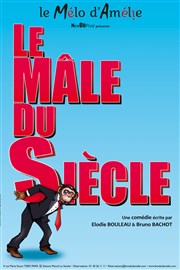 Le mâle du siècle Thtre Le Mlo D'Amlie Affiche