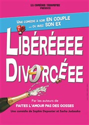 Libéréeee Divorcéee Chateau de Saint Victor sur Loire Affiche