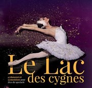 Le lac des cygnes | Grenoble Le Summum Affiche