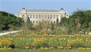 Visite guidée : Jardin de Sciences, Jardin des Plantes | par Pauline Lebourcq Jardin des plantes Affiche